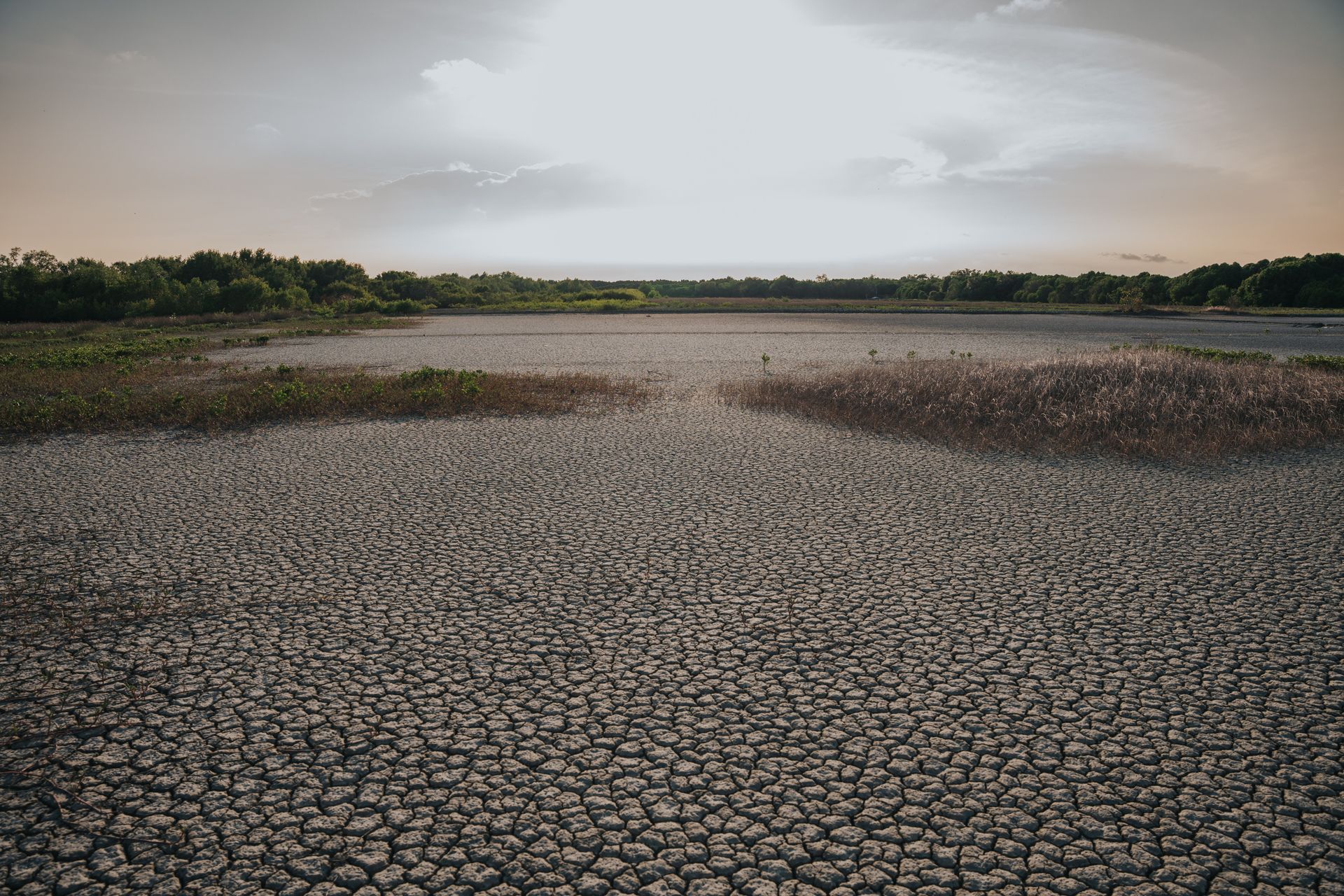 Studiu de imunizare la schimbările climatice